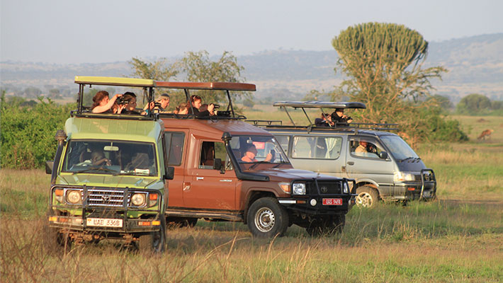 Private game drive