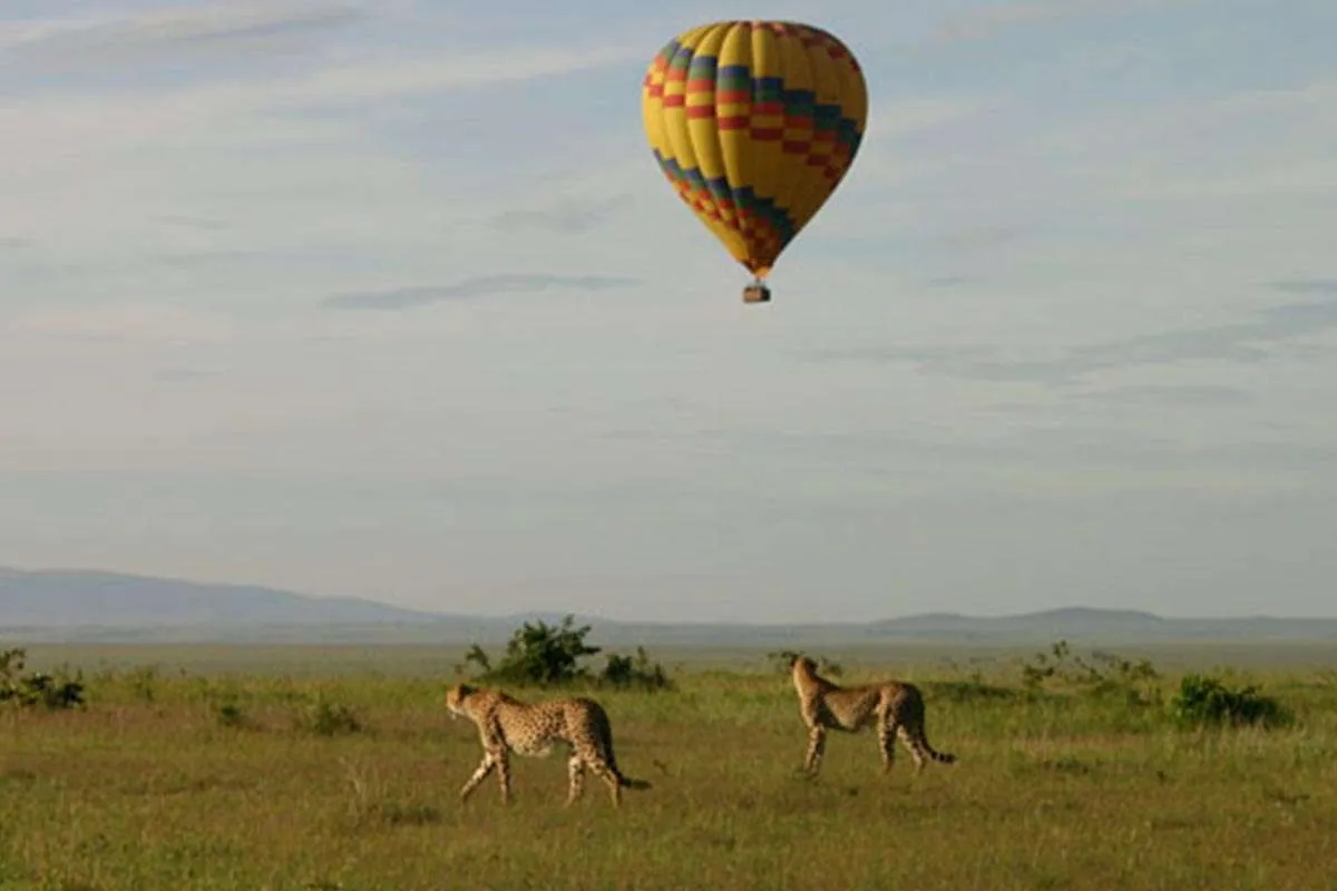 Hot air balloon safari over Uganda landscape