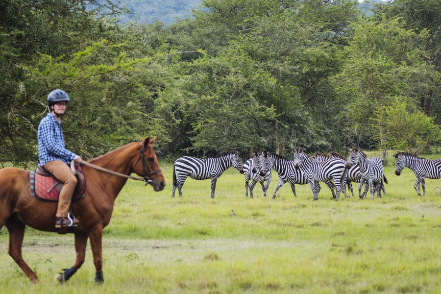 Horseback safari with zebras